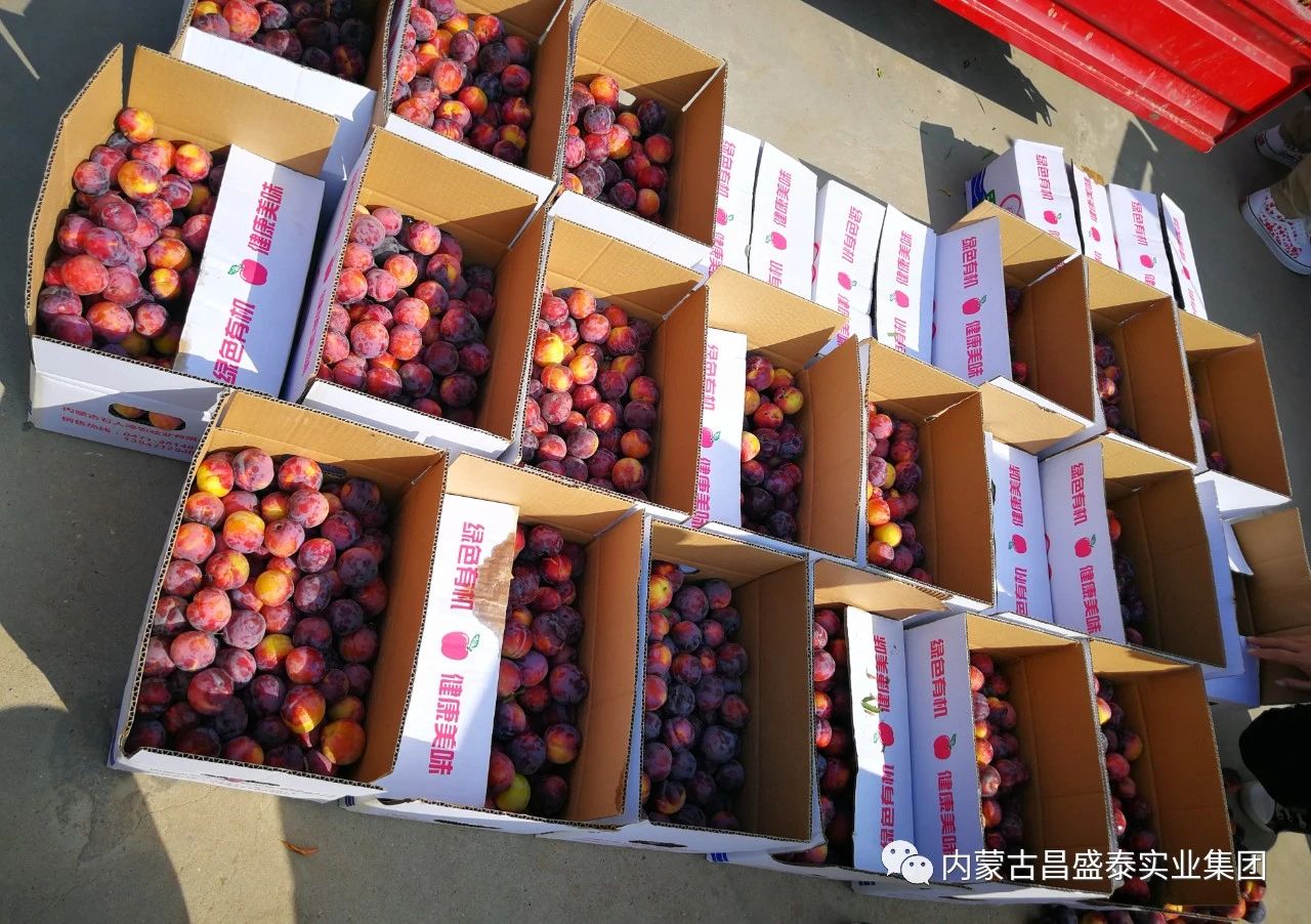 微信圖片_20210910165018.jpg