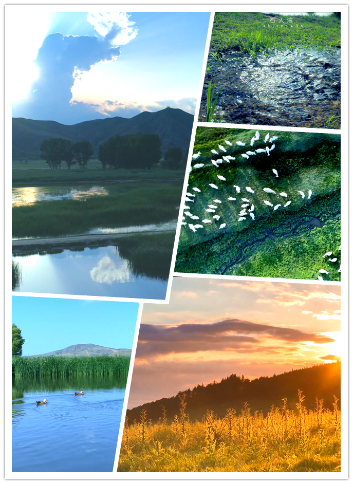 微信截圖_20190505102540_副本.png