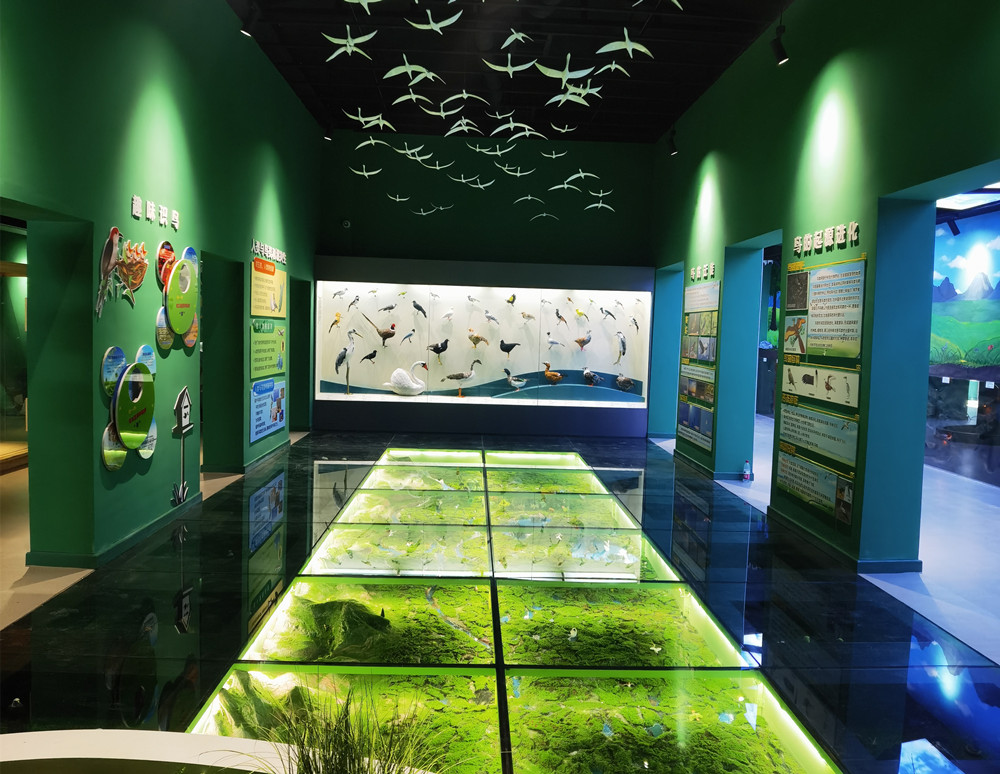石人灣生物多樣性教育展館-趣味鳥類廳_副本.jpg