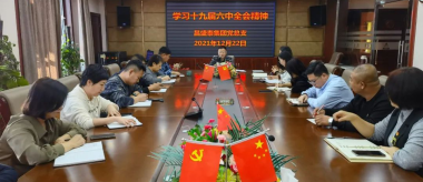 昌盛泰集團黨總支開展學習貫徹黨的十九屆六中全會精神主題黨日活動